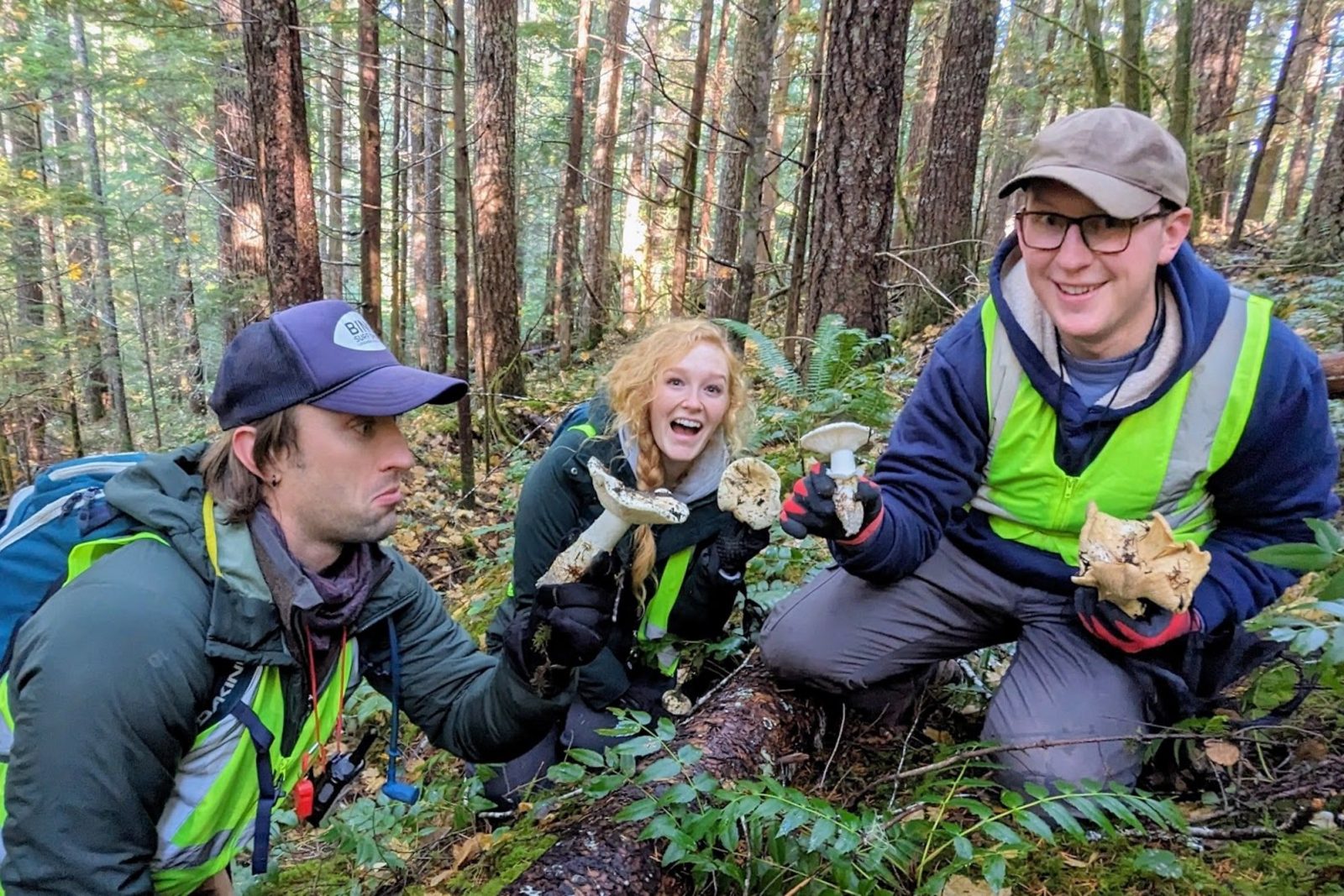 Matsutake Madness Hunt