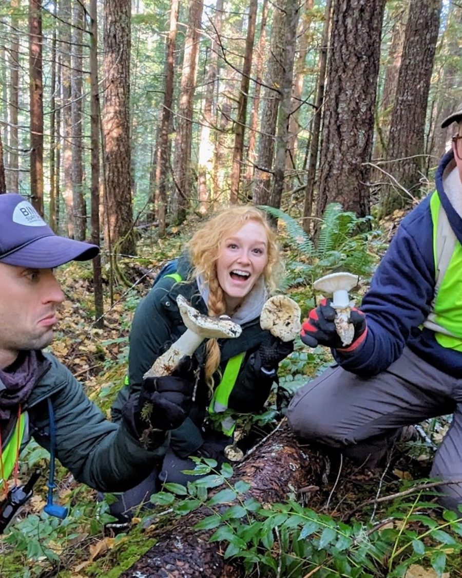 Matsutake Madness Hunt