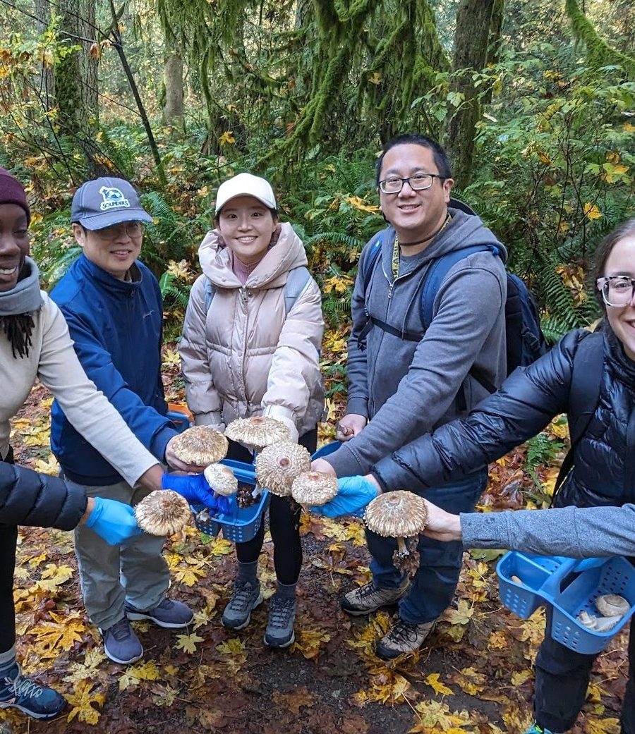 Chef-Led Intro to Gourmet Mushroom Foraging + Cooking