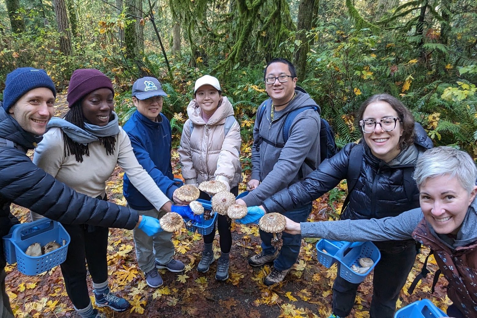 Chef-Led Intro to Gourmet Mushroom Foraging + Cooking