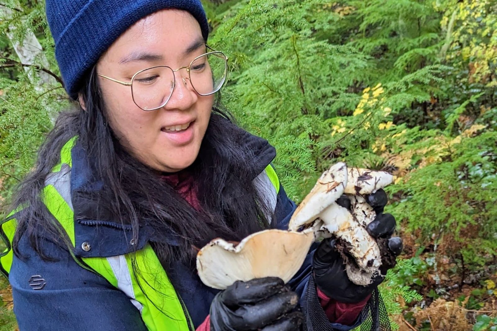 Matsutake Madness Hunt