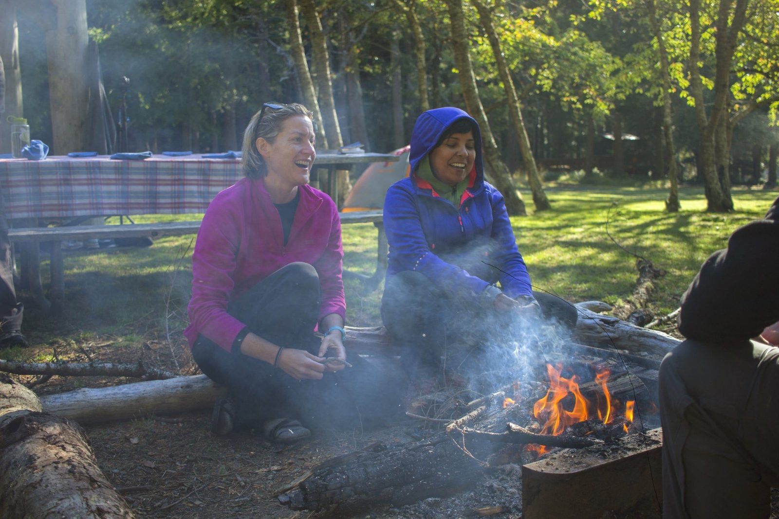 Gourmet Kayak Expedition: San Juan Islands