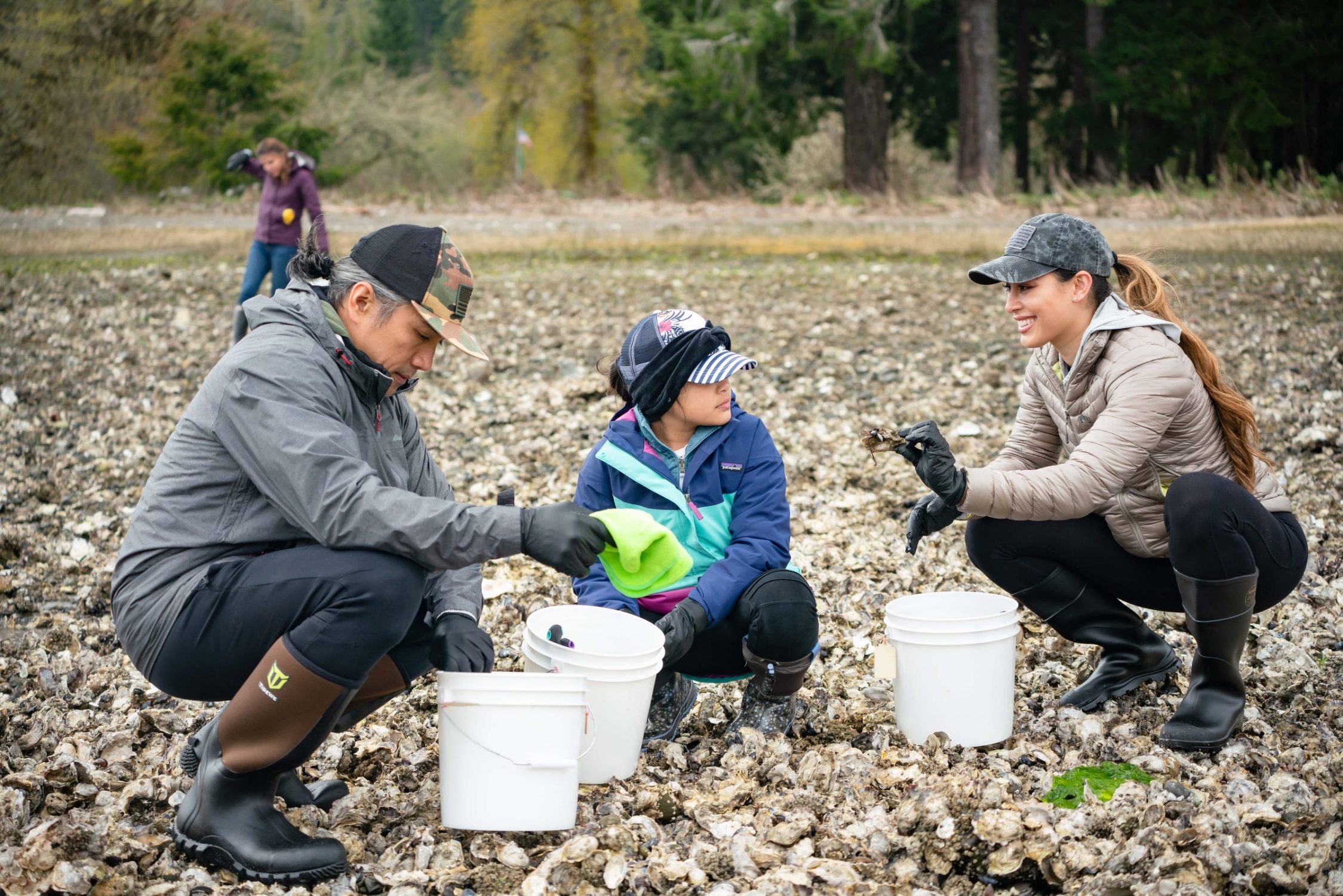 A family digs for clams on a Hood Canal beach