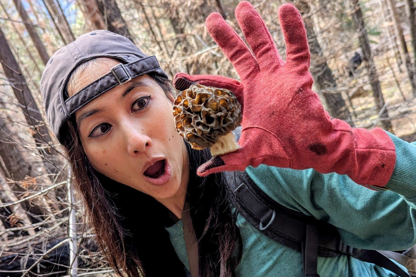 Morel Mania Hunt