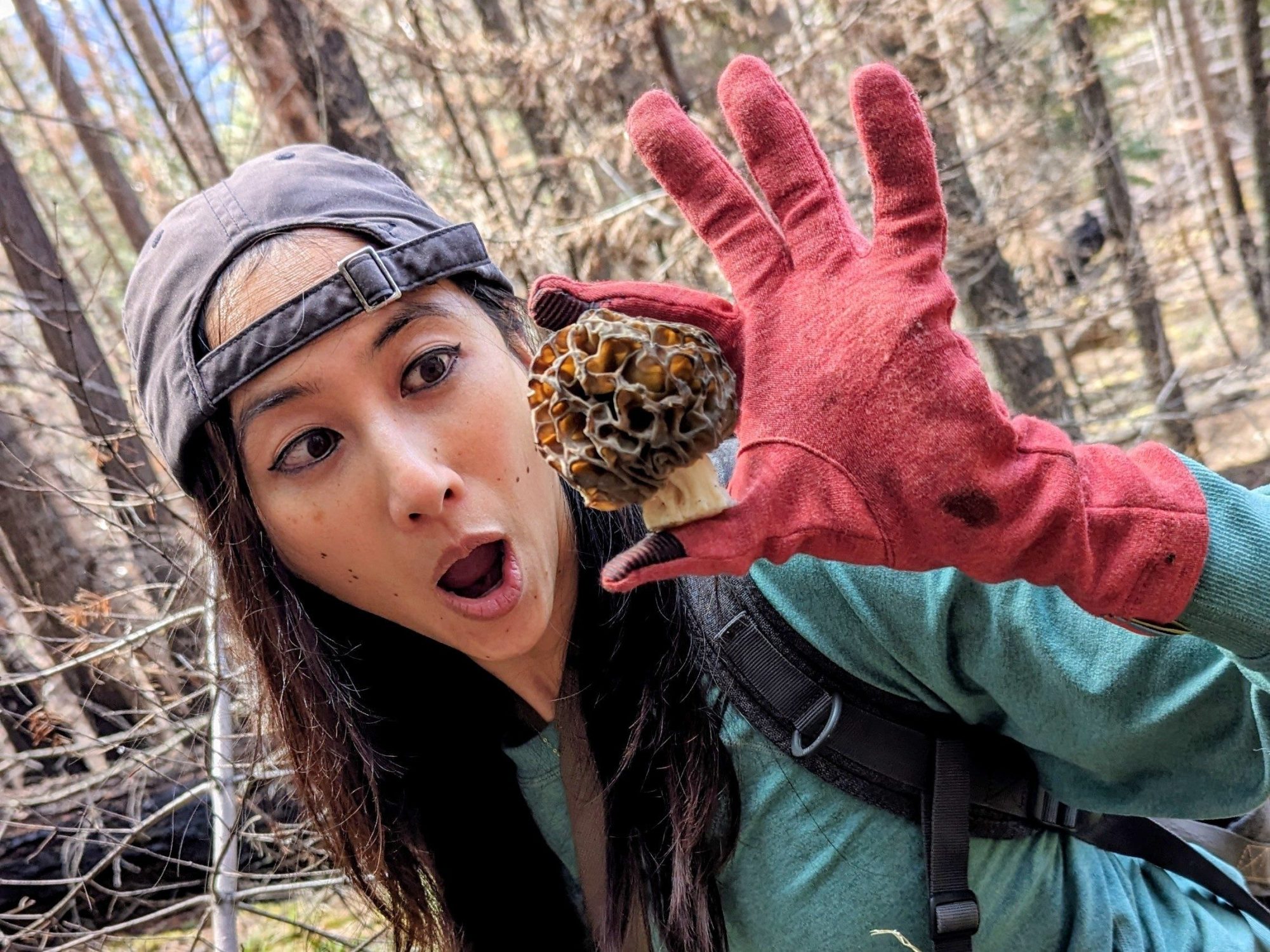 Morel Mania Hunt