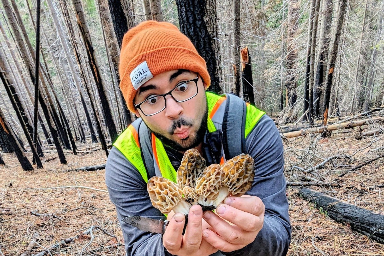 Morel Mania Hunt