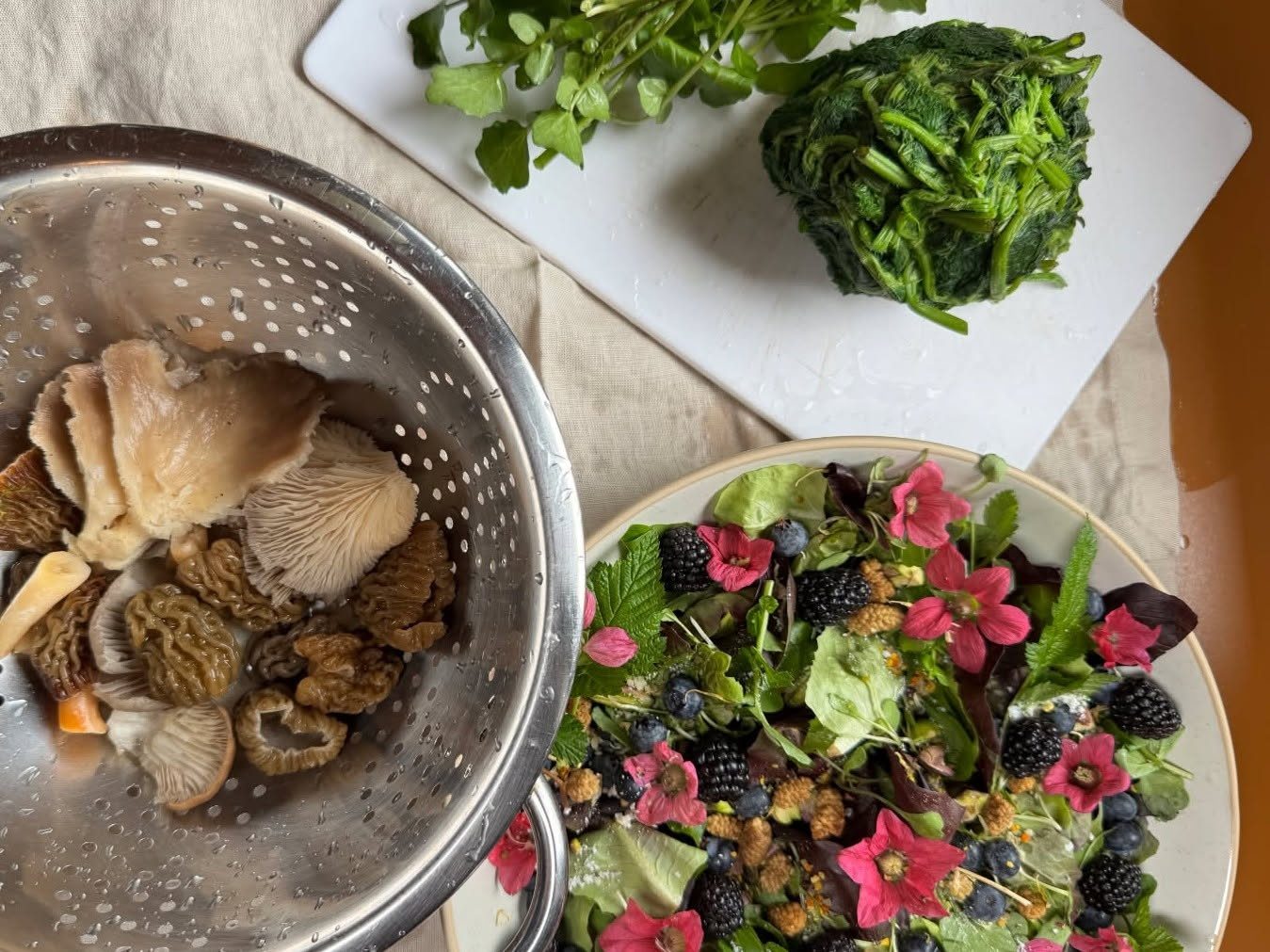 Spring Wild Edibles: Forage & Feast
