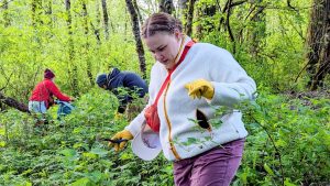 Spring Wild Edibles: Forage & Feast