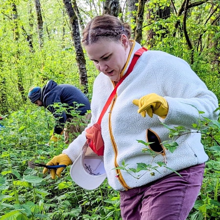 Spring Wild Edibles: Forage & Feast