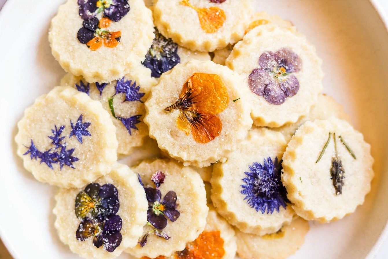Spring Wild Edibles: Forage & Feast