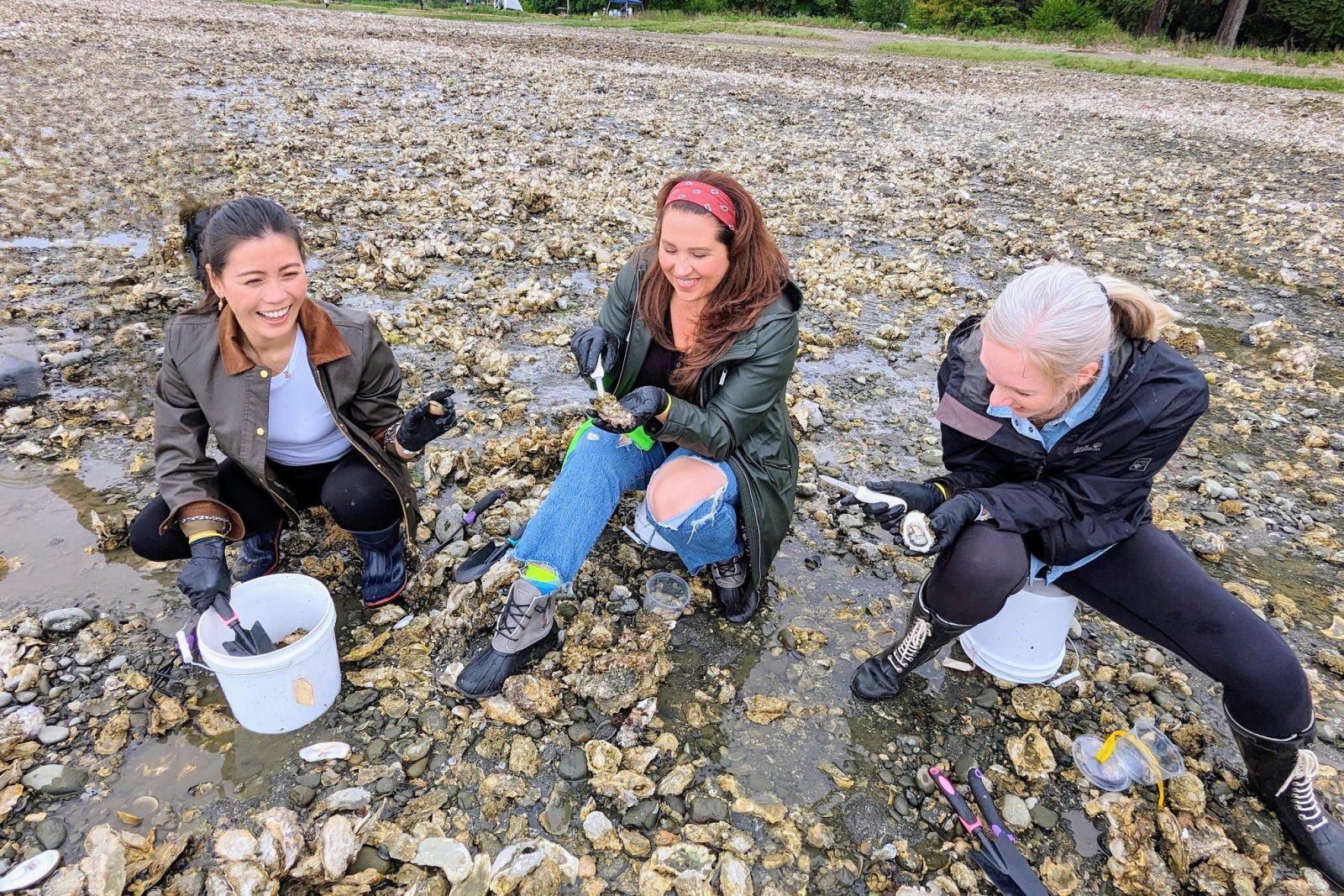 Oyster & Clam ShinDIG