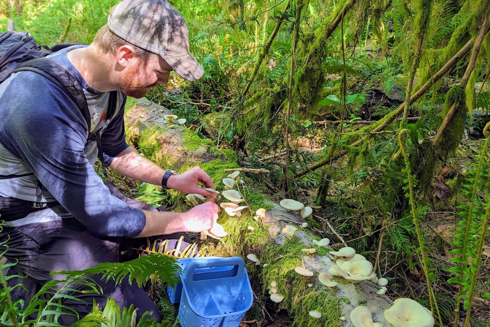 Seattle Mushroom Foraging 101