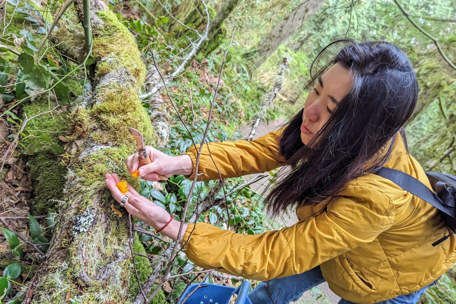 Seattle Mushroom Foraging 101