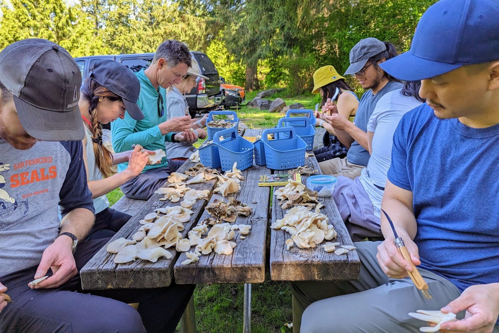 Seattle Mushroom Foraging 101