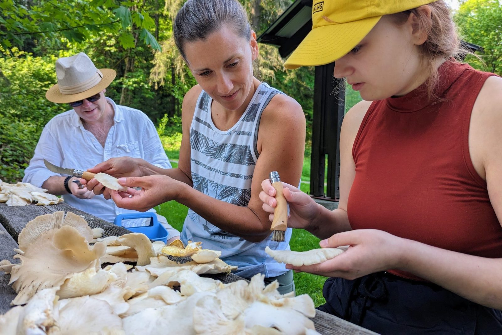 Seattle Mushroom Foraging 101
