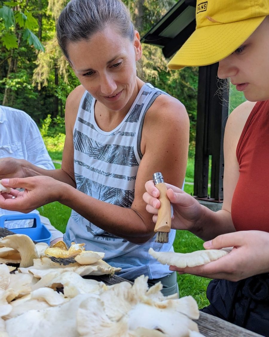 Seattle Mushroom Foraging 101