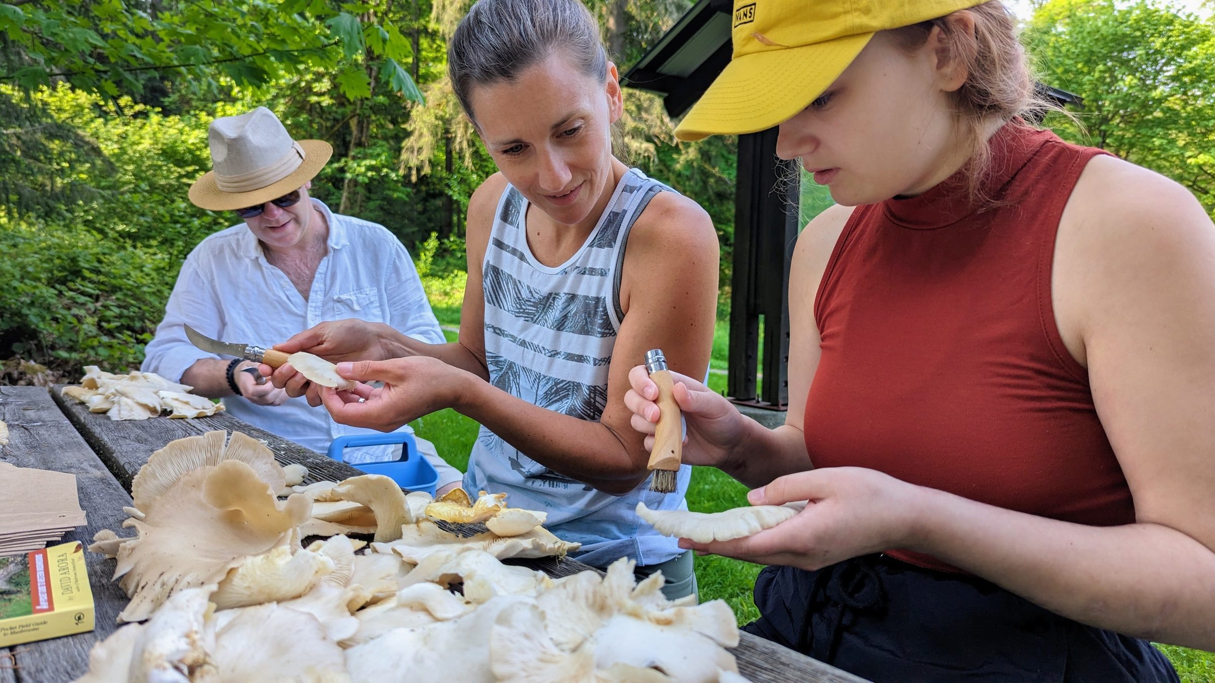 Seattle Mushroom Foraging 101
